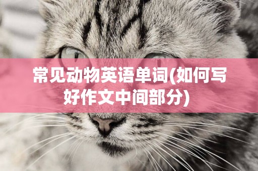 常見動物英語單詞(如何寫好作文中間部分) 