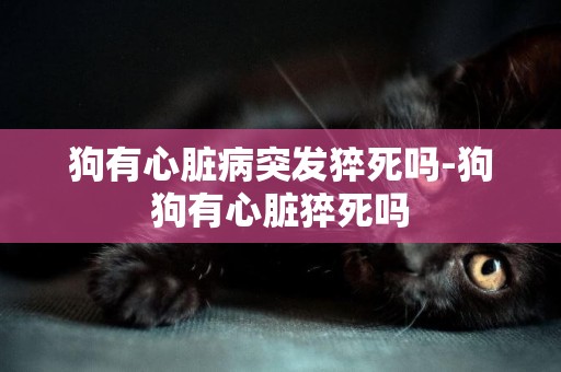狗有心臟病突發猝死嗎-狗狗有心臟猝死嗎