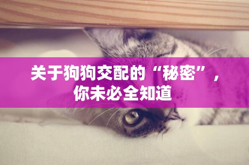 關于狗狗交配的“秘密”，你未必全知道 