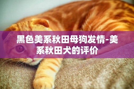 黑色美系秋田母狗發情-美系秋田犬的評價
