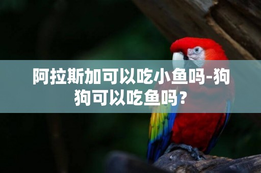 阿拉斯加可以吃小魚嗎-狗狗可以吃魚嗎？