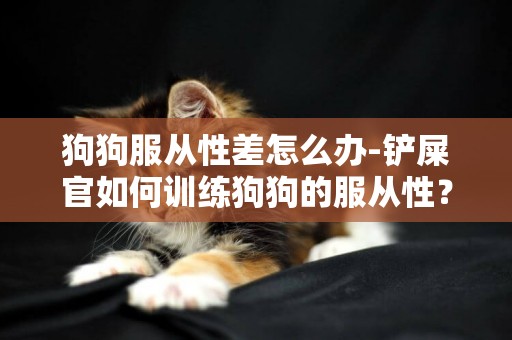 狗狗服從性差怎么辦-鏟屎官如何訓練狗狗的服從性？