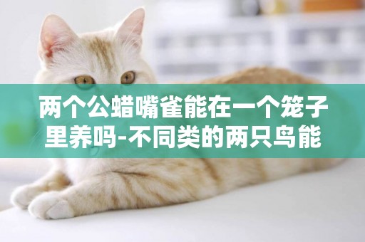 兩個公蠟嘴雀能在一個籠子里養嗎-不同類的兩只鳥能否關在同一個籠子里面養？