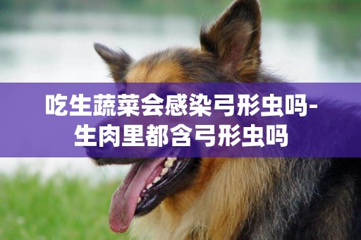 吃生蔬菜會感染弓形蟲嗎-生肉里都含弓形蟲嗎