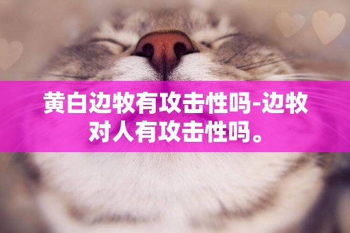 黃白邊牧有攻擊性嗎-邊牧對人有攻擊性嗎。