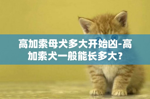 高加索母犬多大開始兇-高加索犬一般能長多大？