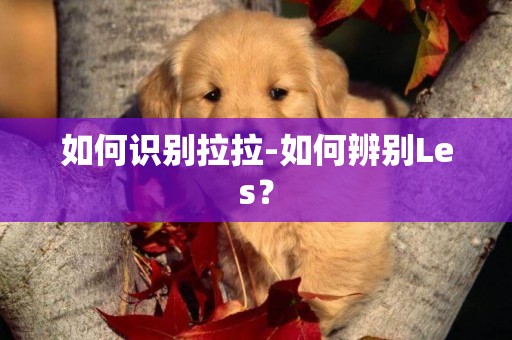 如何識別拉拉-如何辨別Les？