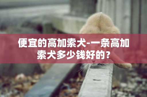 便宜的高加索犬-一條高加索犬多少錢好的？