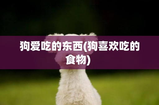 狗愛吃的東西(狗喜歡吃的食物) 