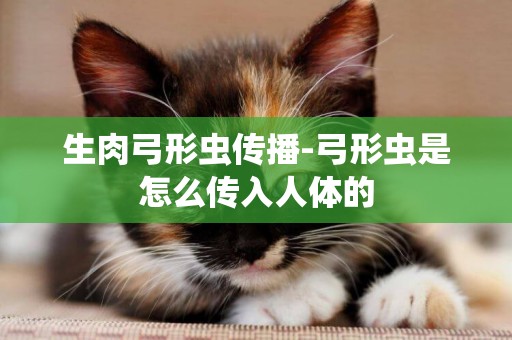 生肉弓形蟲傳播-弓形蟲是怎么傳入人體的