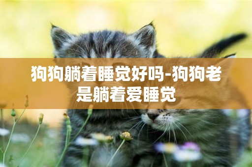 狗狗躺著睡覺好嗎-狗狗老是躺著愛睡覺