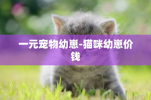 一元寵物幼崽-貓咪幼崽價錢