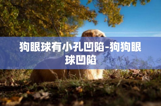 狗眼球有小孔凹陷-狗狗眼球凹陷