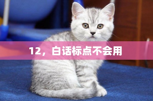 12，白話標點不會用 