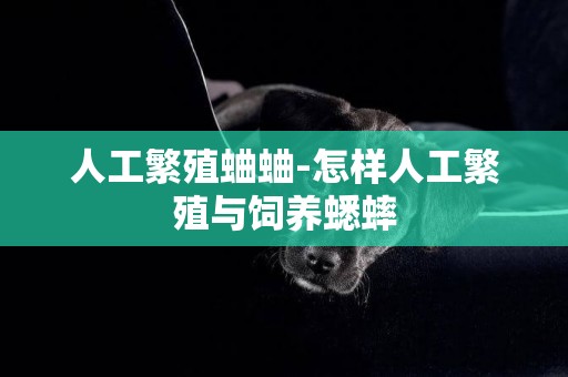 人工繁殖蛐蛐-怎樣人工繁殖與飼養蟋蟀