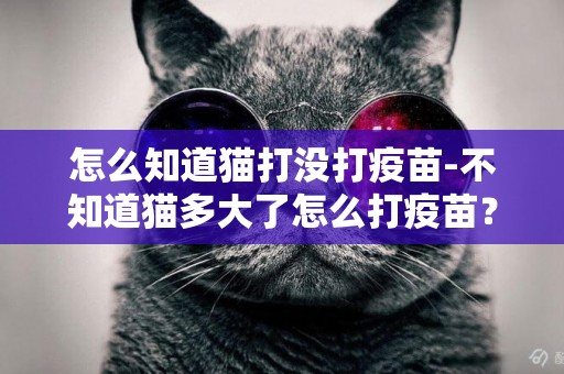 怎么知道貓打沒打疫苗-不知道貓多大了怎么打疫苗？
