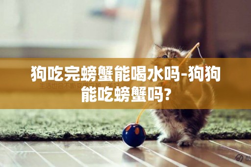狗吃完螃蟹能喝水嗎-狗狗能吃螃蟹嗎?
