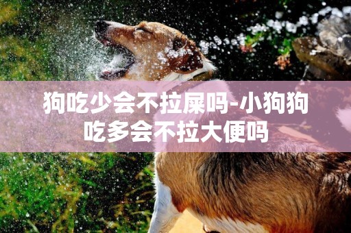 狗吃少會不拉屎嗎-小狗狗吃多會不拉大便嗎