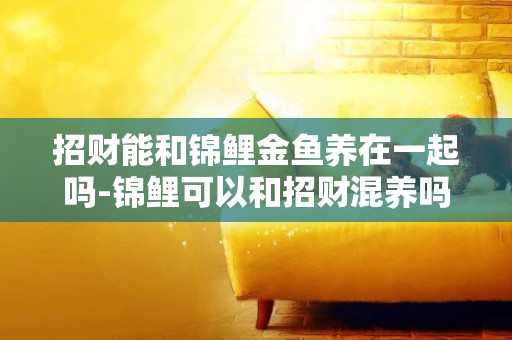 招財能和錦鯉金魚養在一起嗎-錦鯉可以和招財混養嗎