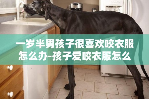 一歲半男孩子很喜歡咬衣服怎么辦-孩子愛咬衣服怎么辦 詳細