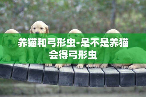 養貓和弓形蟲-是不是養貓會得弓形蟲