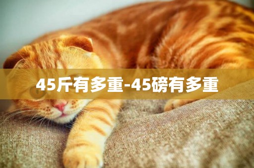 45斤有多重-45磅有多重