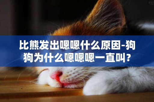 比熊發出嗯嗯什么原因-狗狗為什么嗯嗯嗯一直叫？