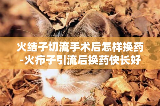 火結子切流手術后怎樣換藥-火癤子引流后換藥快長好了傷口洞底部發白是怎么回事