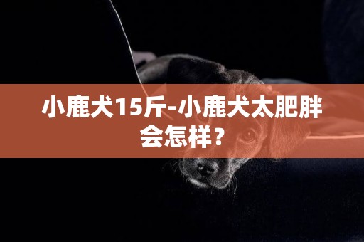 小鹿犬15斤-小鹿犬太肥胖會怎樣？