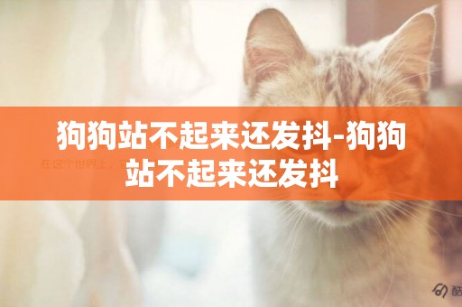 狗狗站不起來還發抖-狗狗站不起來還發抖