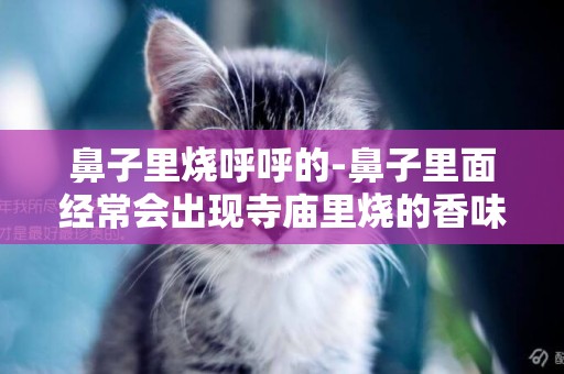 鼻子里燒呼呼的-鼻子里面經常會出現寺廟里燒的香味是怎么回事