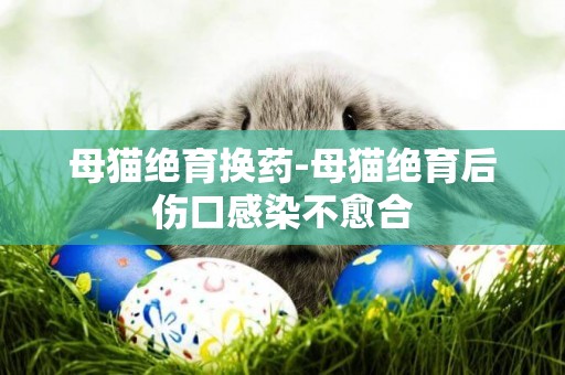 母貓絕育換藥-母貓絕育后傷口感染不愈合