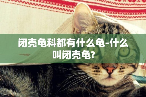 閉殼龜科都有什么龜-什么叫閉殼龜?