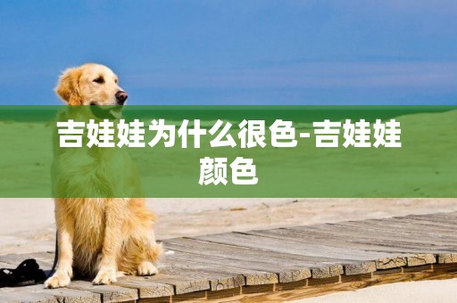 吉娃娃為什么很色-吉娃娃顏色