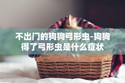 不出門的狗狗弓形蟲-狗狗得了弓形蟲是什么癥狀