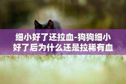 細小好了還拉血-狗狗細小好了后為什么還是拉稀有血