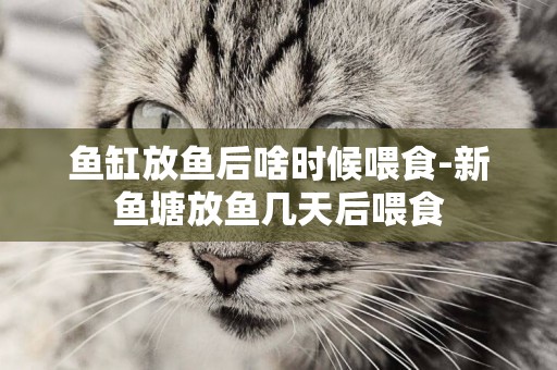 魚缸放魚后啥時候喂食-新魚塘放魚幾天后喂食