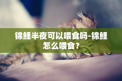 錦鯉半夜可以喂食嗎-錦鯉怎么喂食？