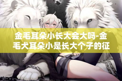 金毛耳朵小長大會大嗎-金毛犬耳朵小是長大個子的征兆?