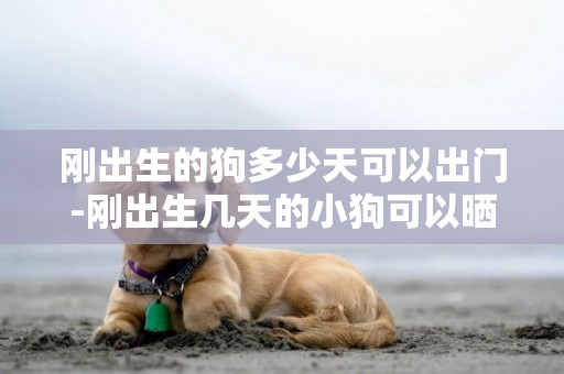 剛出生的狗多少天可以出門-剛出生幾天的小狗可以曬太陽嗎