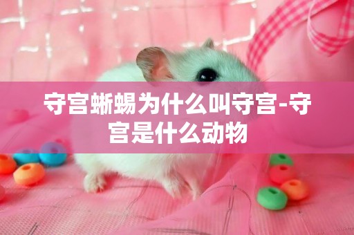 守宮蜥蜴為什么叫守宮-守宮是什么動物