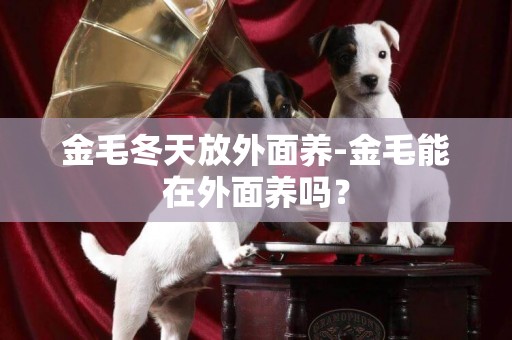 金毛冬天放外面養-金毛能在外面養嗎？