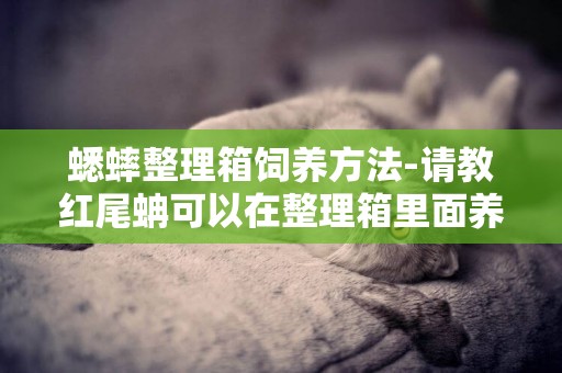 蟋蟀整理箱飼養方法-請教紅尾蚺可以在整理箱里面養嗎，需要怎么開口