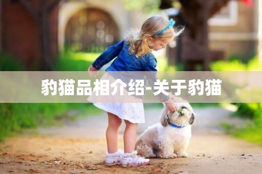 豹貓品相介紹-關于豹貓