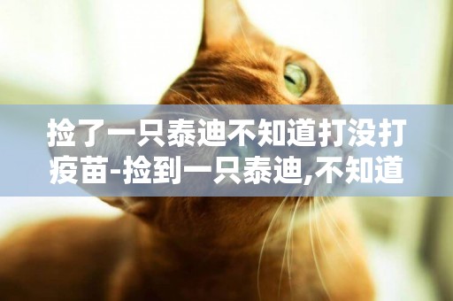 撿了一只泰迪不知道打沒打疫苗-撿到一只泰迪,不知道多大,該打什么針?