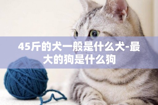 45斤的犬一般是什么犬-最大的狗是什么狗