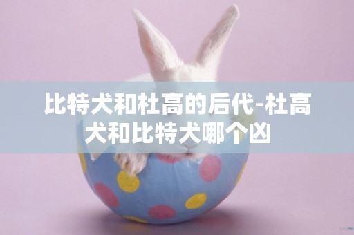 比特犬和杜高的后代-杜高犬和比特犬哪個兇