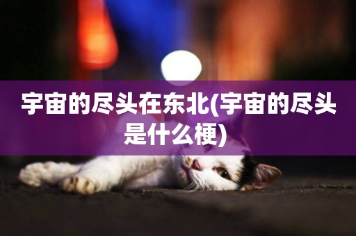 宇宙的盡頭在東北(宇宙的盡頭是什么梗) 