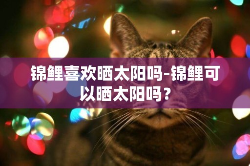 錦鯉喜歡曬太陽嗎-錦鯉可以曬太陽嗎？