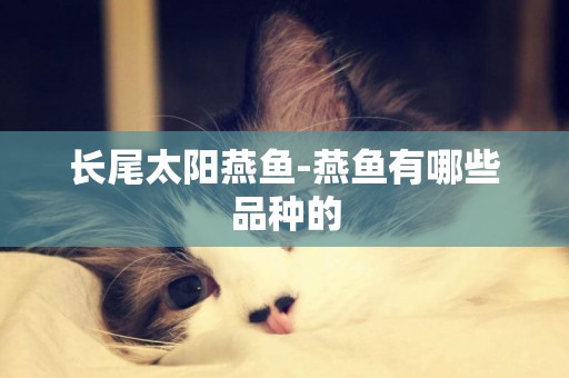 長尾太陽燕魚-燕魚有哪些品種的